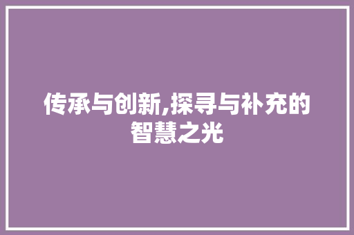 传承与创新,探寻与补充的智慧之光