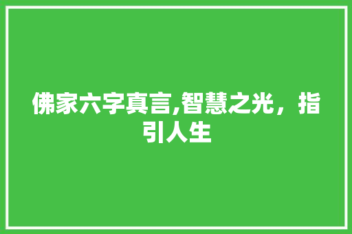 佛家六字真言,智慧之光，指引人生 成语汇编