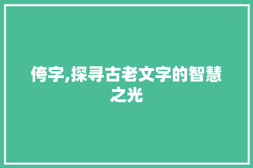 侉字,探寻古老文字的智慧之光