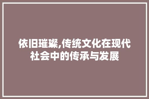 依旧璀璨,传统文化在现代社会中的传承与发展 古代典籍