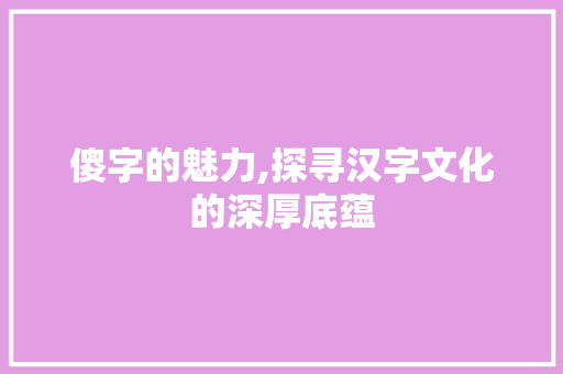 傻字的魅力,探寻汉字文化的深厚底蕴