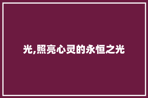 光,照亮心灵的永恒之光