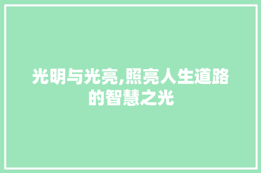 光明与光亮,照亮人生道路的智慧之光