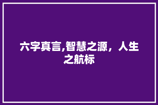 六字真言,智慧之源，人生之航标