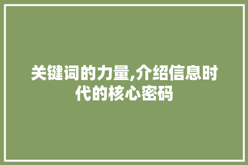 关键词的力量,介绍信息时代的核心密码