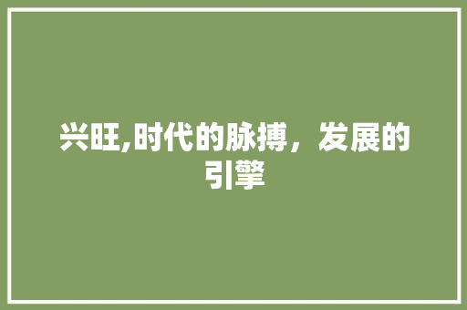 兴旺,时代的脉搏，发展的引擎