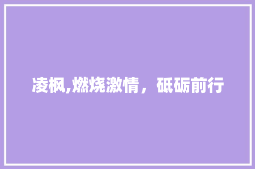凌枫,燃烧激情，砥砺前行