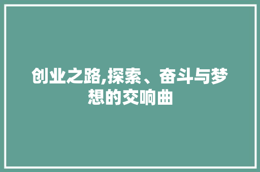 创业之路,探索、奋斗与梦想的交响曲