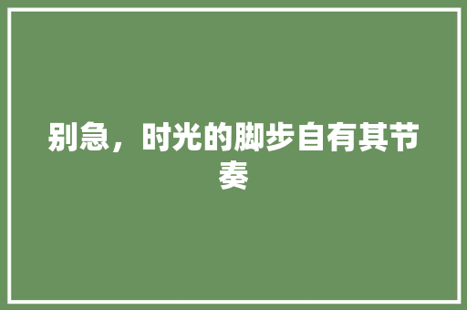 别急，时光的脚步自有其节奏