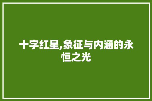 十字红星,象征与内涵的永恒之光