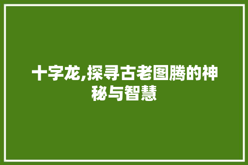 十字龙,探寻古老图腾的神秘与智慧