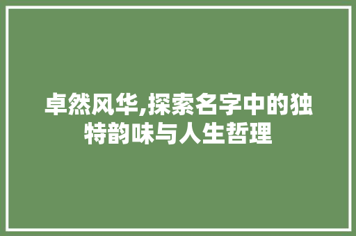 卓然风华,探索名字中的独特韵味与人生哲理