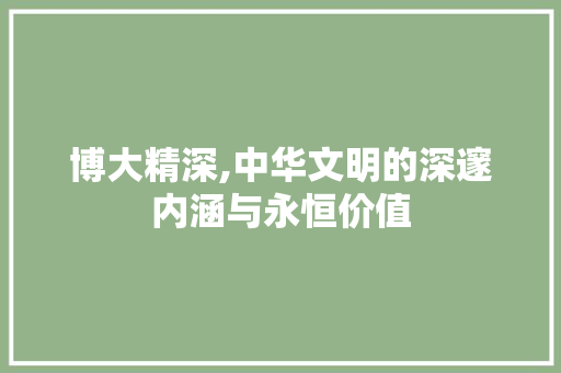博大精深,中华文明的深邃内涵与永恒价值