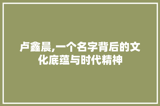 卢鑫晨,一个名字背后的文化底蕴与时代精神
