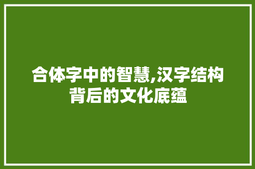 合体字中的智慧,汉字结构背后的文化底蕴