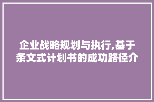 企业战略规划与执行,基于条文式计划书的成功路径介绍