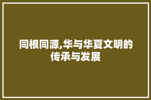 同根同源,华与华夏文明的传承与发展
