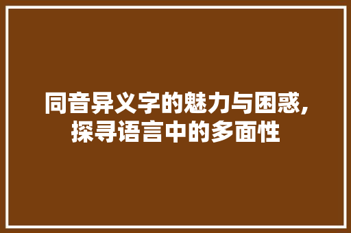 同音异义字的魅力与困惑,探寻语言中的多面性