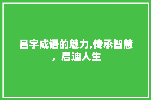 吕字成语的魅力,传承智慧，启迪人生