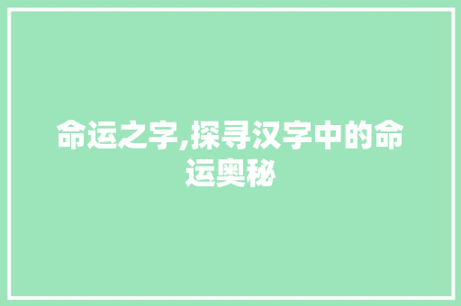 命运之字,探寻汉字中的命运奥秘