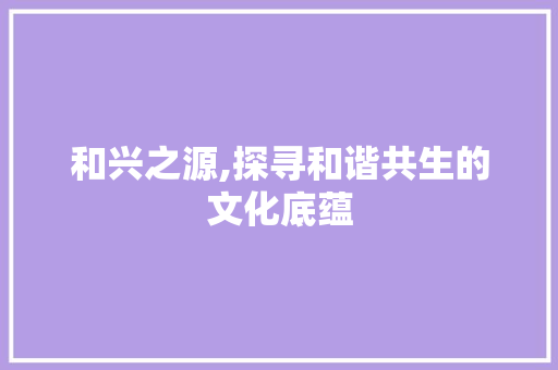 和兴之源,探寻和谐共生的文化底蕴