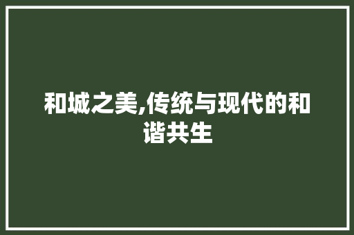 和城之美,传统与现代的和谐共生