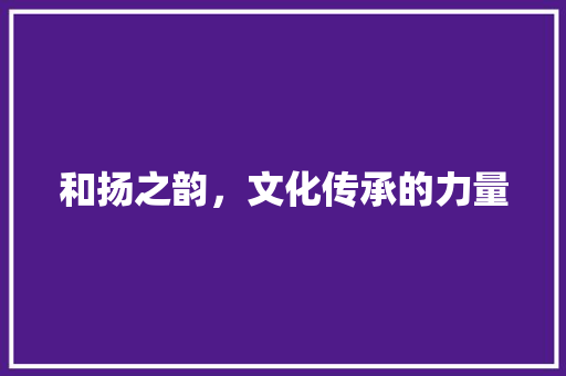 和扬之韵，文化传承的力量