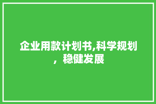 企业用款计划书,科学规划，稳健发展