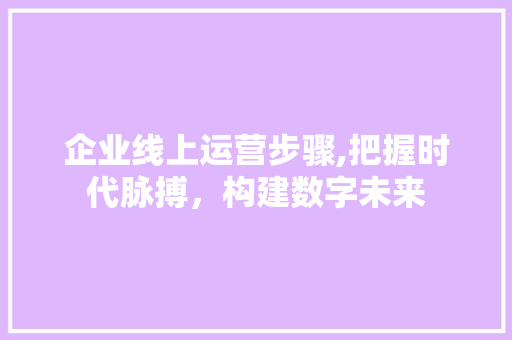 企业线上运营步骤,把握时代脉搏，构建数字未来