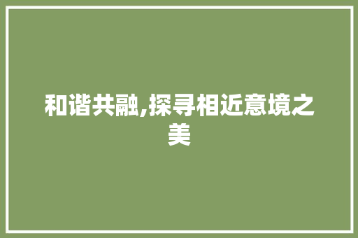 和谐共融,探寻相近意境之美 古代典籍