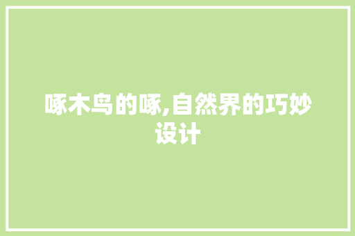 啄木鸟的啄,自然界的巧妙设计