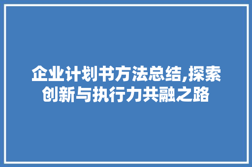 企业计划书方法总结,探索创新与执行力共融之路