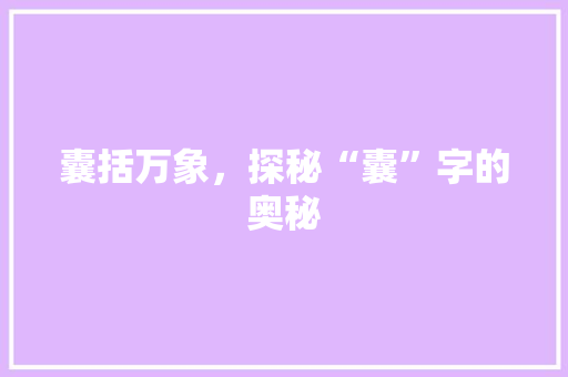 囊括万象，探秘“囊”字的奥秘