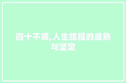 四十不惑,人生旅程的成熟与坚定