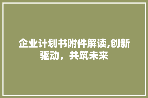 企业计划书附件解读,创新驱动，共筑未来