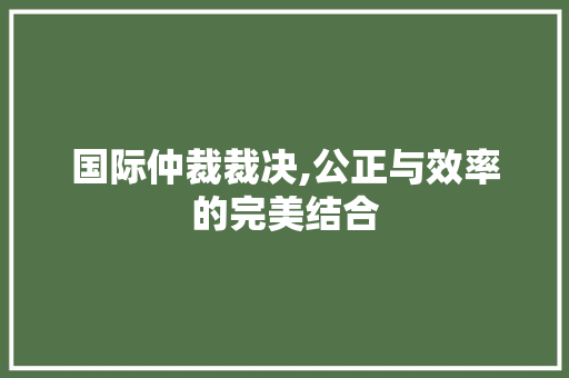 国际仲裁裁决,公正与效率的完美结合