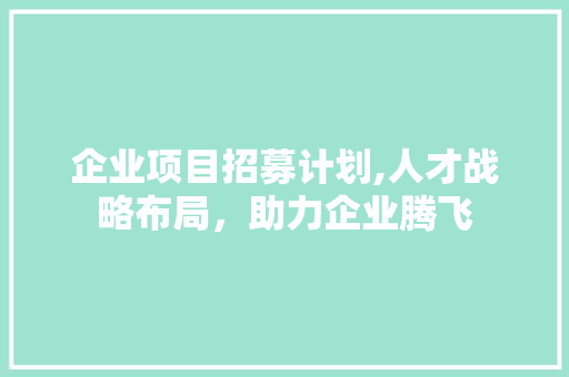 企业项目招募计划,人才战略布局，助力企业腾飞