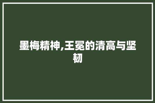 墨梅精神,王冕的清高与坚韧 反义词汇