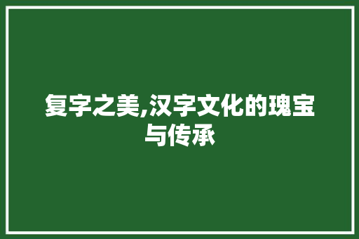 复字之美,汉字文化的瑰宝与传承 近义词汇