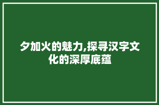 夕加火的魅力,探寻汉字文化的深厚底蕴