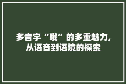 多音字“哦”的多重魅力,从语音到语境的探索