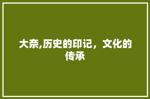 大奈,历史的印记，文化的传承