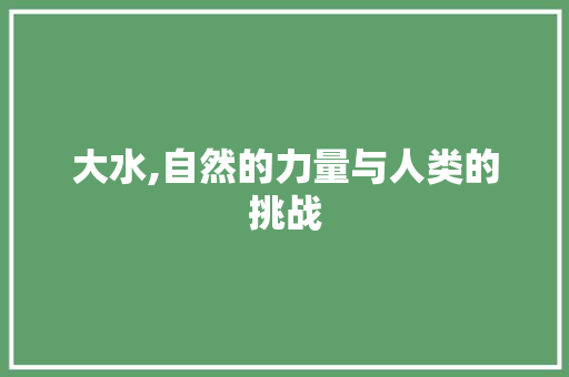 大水,自然的力量与人类的挑战