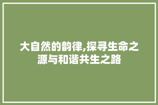 大自然的韵律,探寻生命之源与和谐共生之路