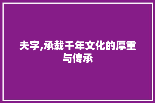 夫字,承载千年文化的厚重与传承 汉字拼音