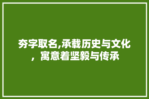 夯字取名,承载历史与文化，寓意着坚毅与传承