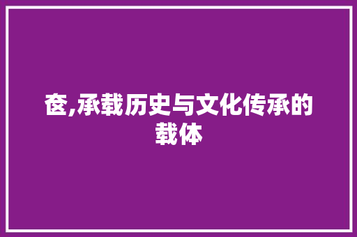 奁,承载历史与文化传承的载体