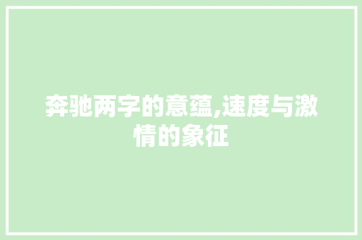 奔驰两字的意蕴,速度与激情的象征