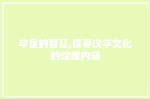 字昆的智慧,探寻汉字文化的深邃内涵