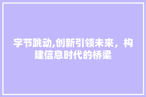 字节跳动,创新引领未来，构建信息时代的桥梁